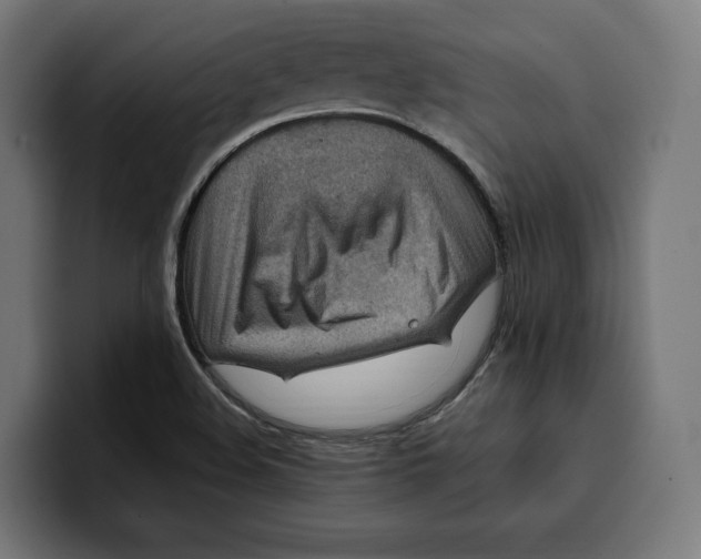 X0000099981508200806131349