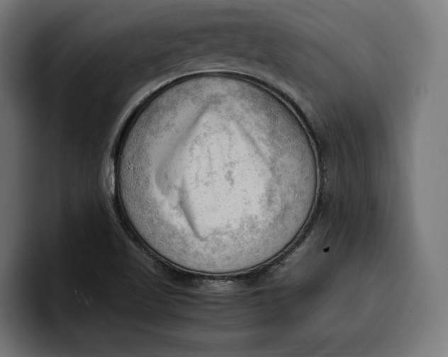 X0000099981509200806131349