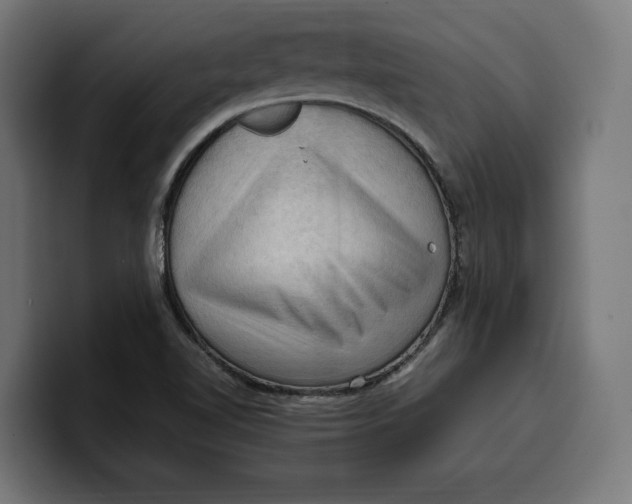 X0000099981510200806131349