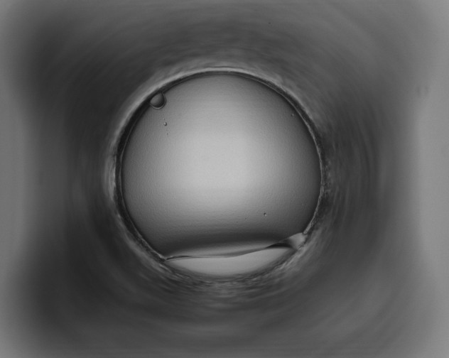 X0000099981511200806131349