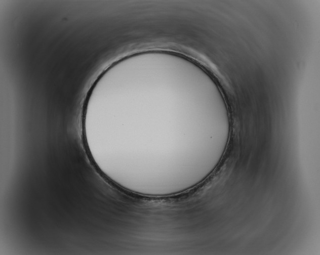 X0000099981512200806131349