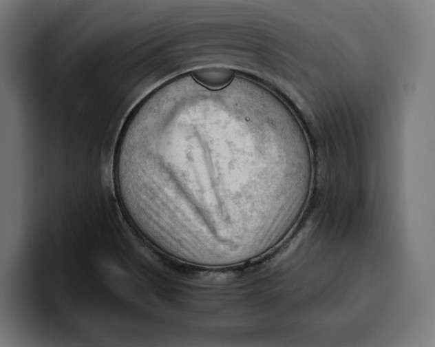 X0000099981513200806131349