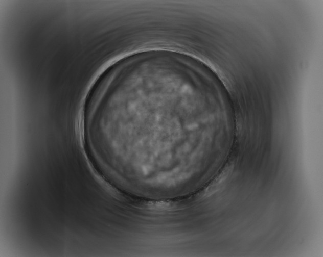 X0000099981515200806131349