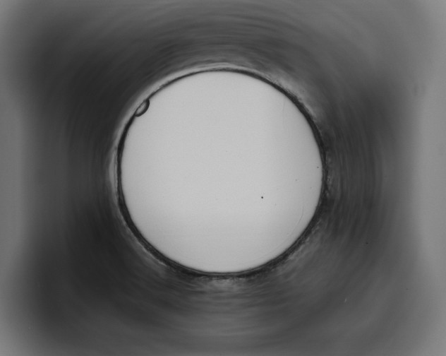 X0000099981516200806131349