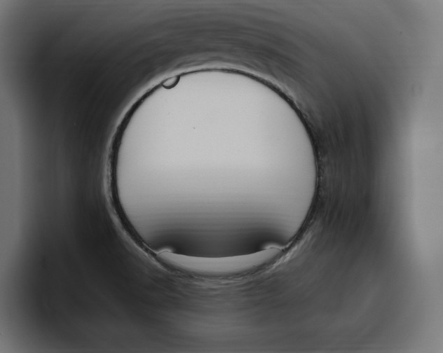 X0000099981518200806131349