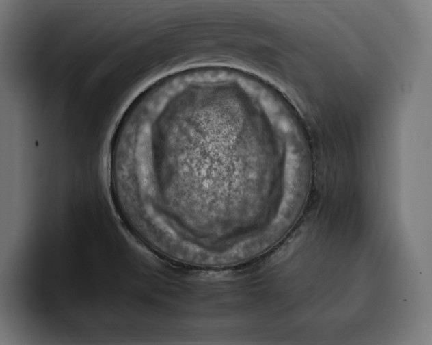 X0000099981519200806131349