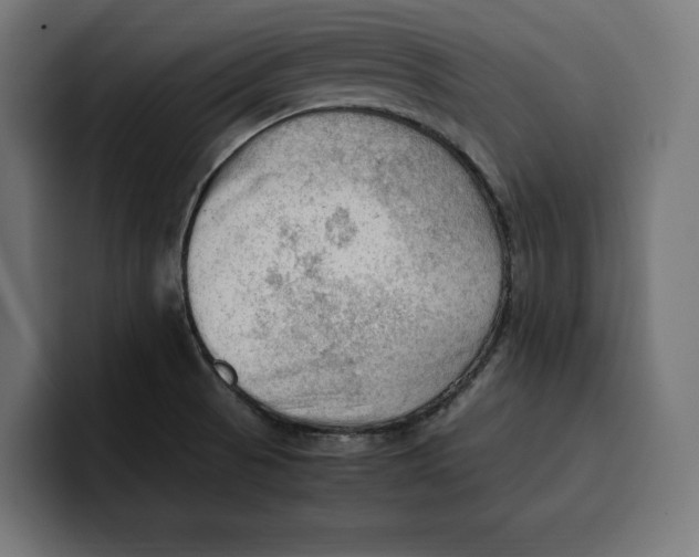 X0000099981521200806131349