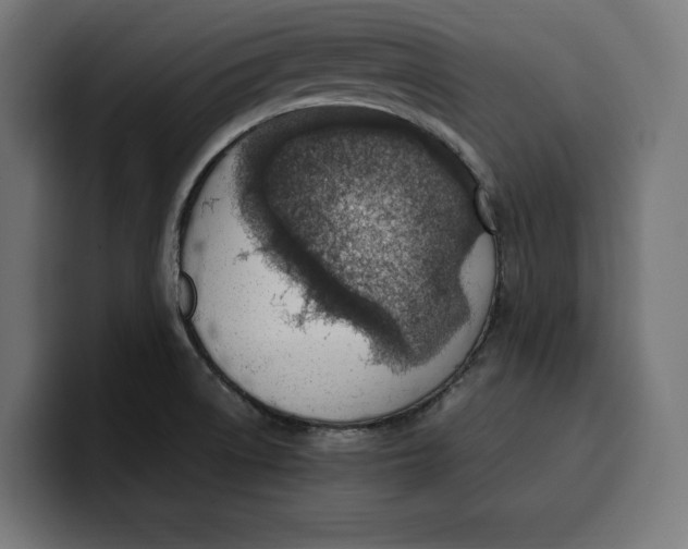 X0000099981522200806131349