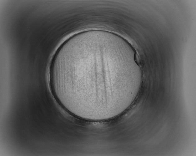 X0000099981523200806131349