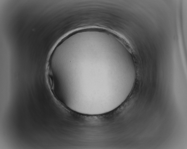 X0000099981524200806131349