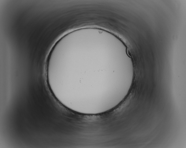 X0000099981526200806131349