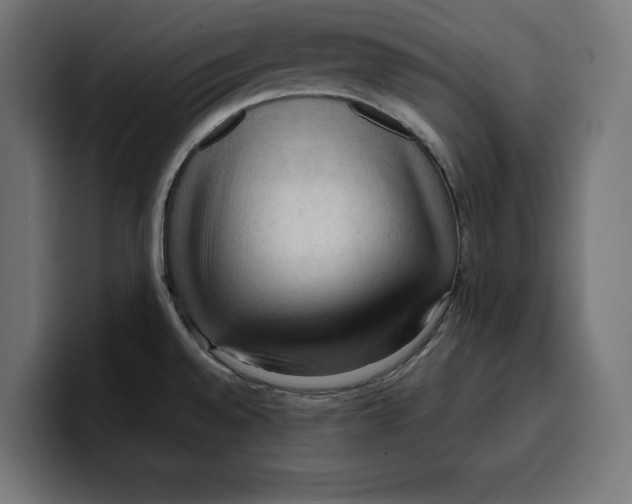 X0000099981528200806131349