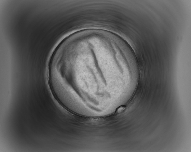 X0000099981531200806131349