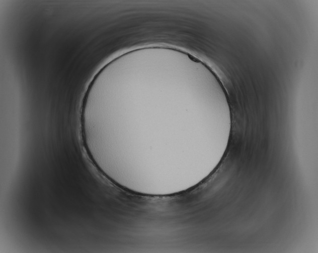 X0000099981534200806131349