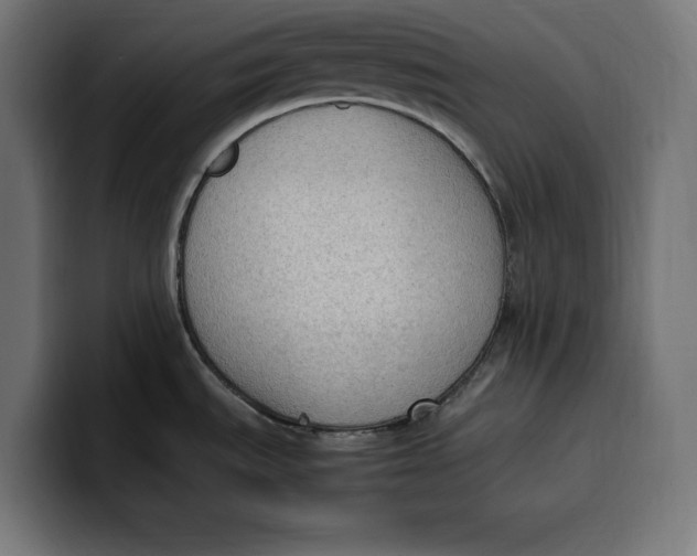 X0000099981535200806131349