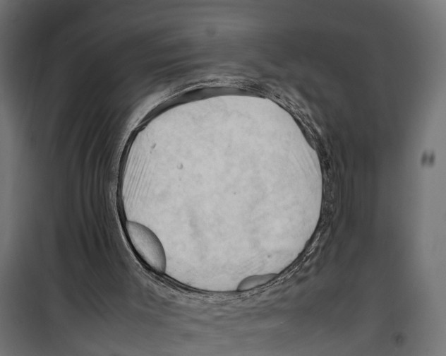 X0000099980003200806201436