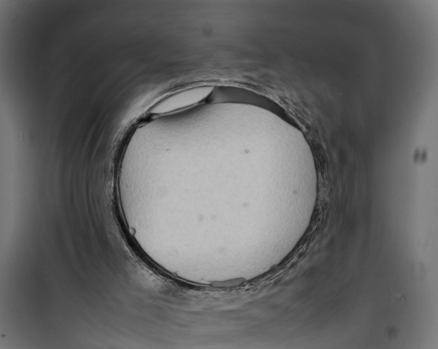 X0000099980005200806201436