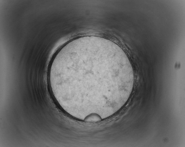 X0000099980006200806201436