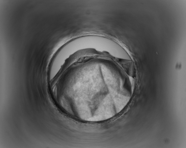 X0000099980008200806201436