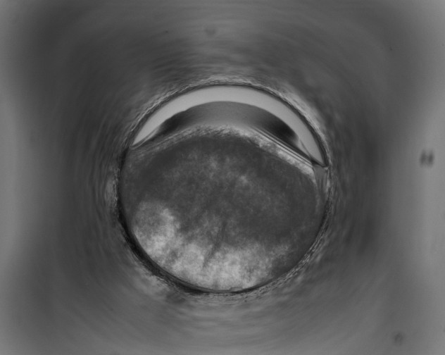 X0000099980009200806201436