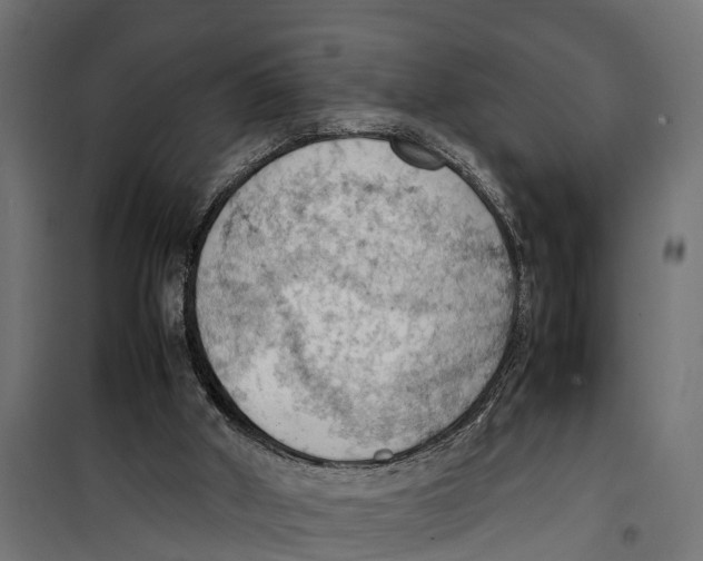 X0000099980010200806201436