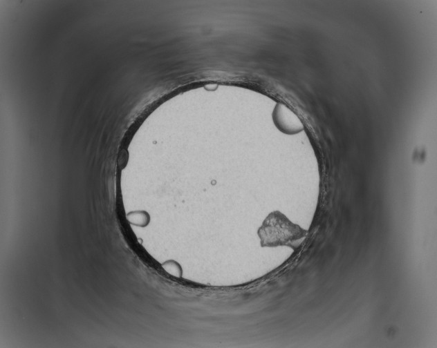 X0000099980011200806201436