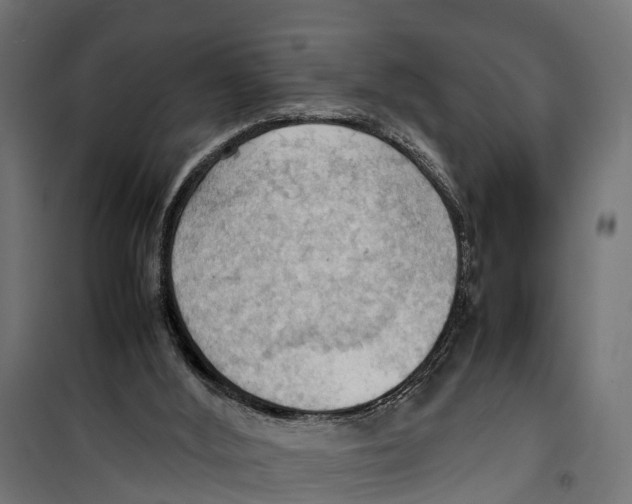 X0000099980012200806201436