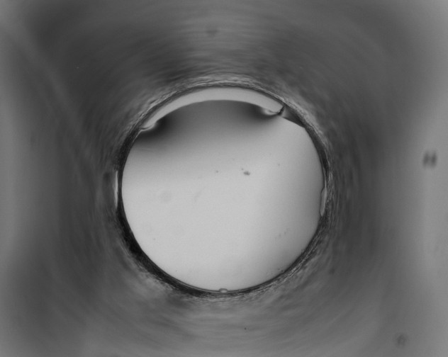 X0000099980013200806201436