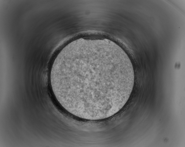 X0000099980016200806201436