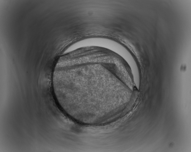 X0000099980017200806201436