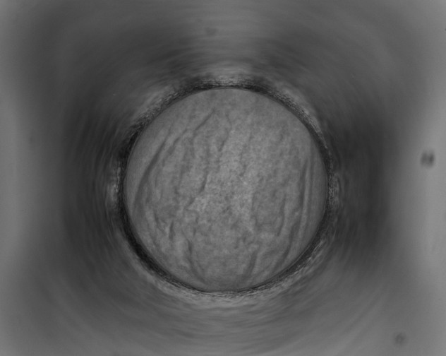 X0000099980018200806201436