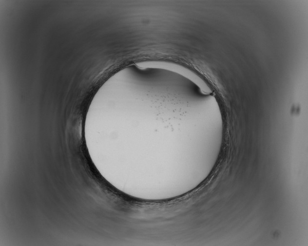 X0000099980021200806201436