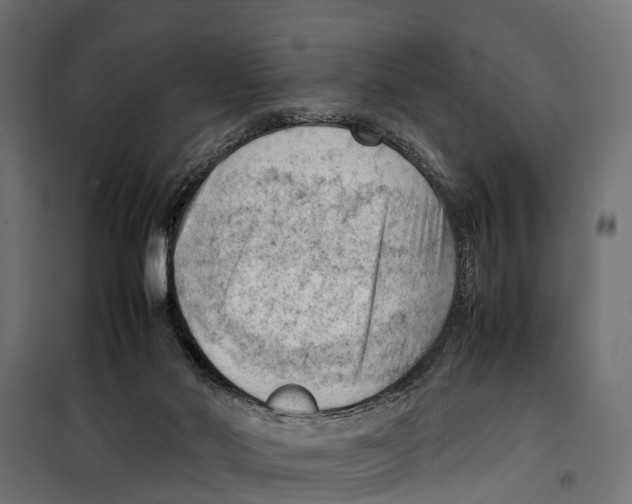 X0000099980022200806201436