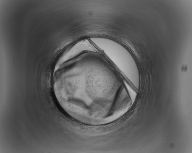 X0000099980023200806201436