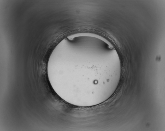 X0000099980025200806201436