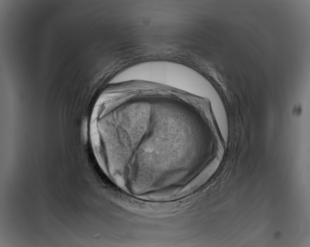 X0000099980027200806201436