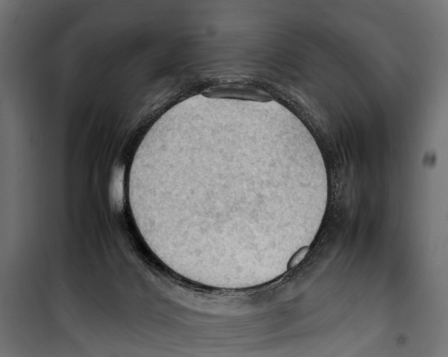 X0000099980028200806201436