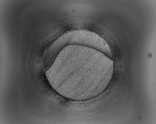 X0000099980029200806201436