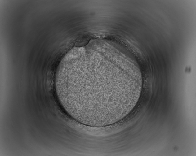 X0000099980030200806201436