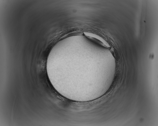 X0000099980033200806201436