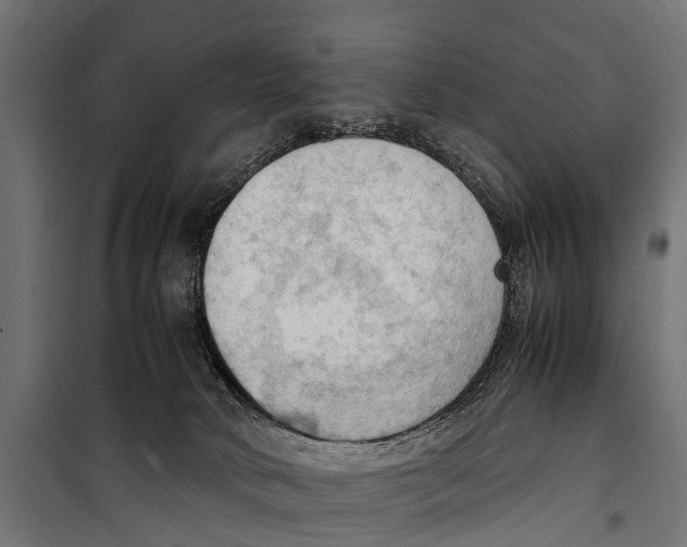 X0000099980034200806201436