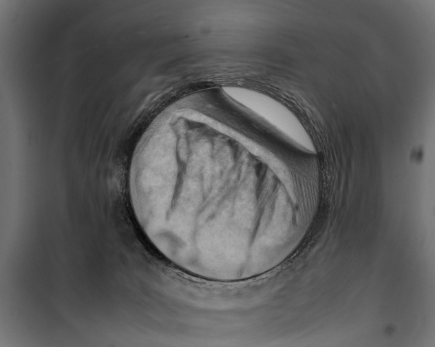 X0000099980035200806201436