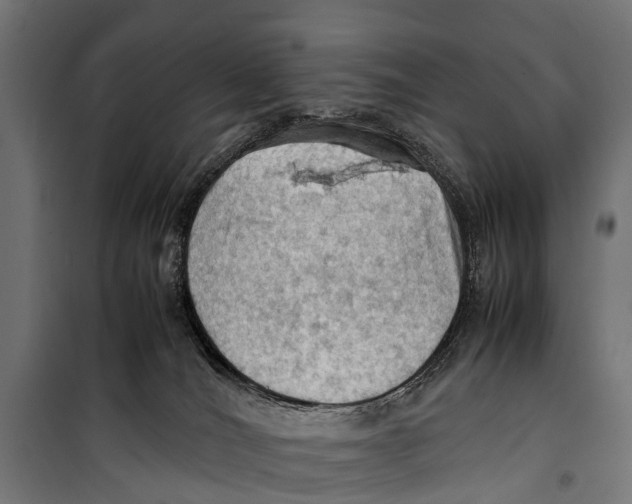 X0000099980036200806201436