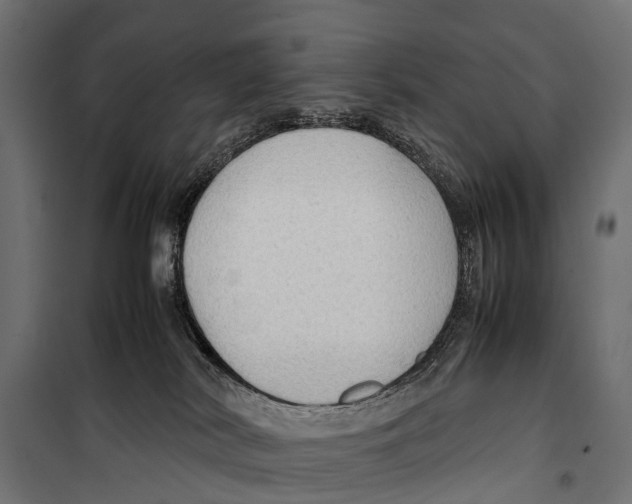 X0000099980038200806201436