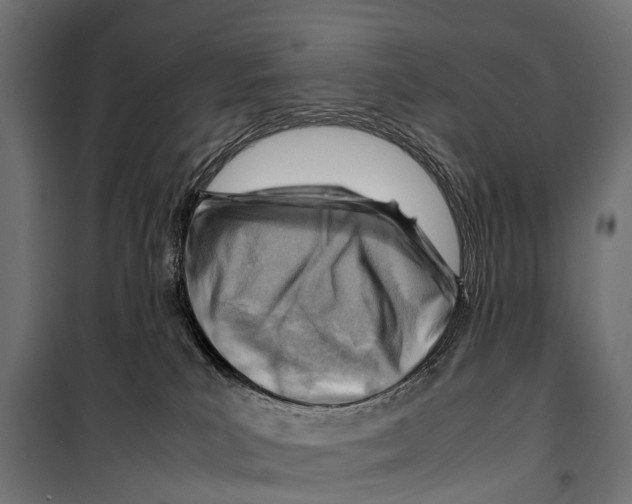 X0000099980039200806201436