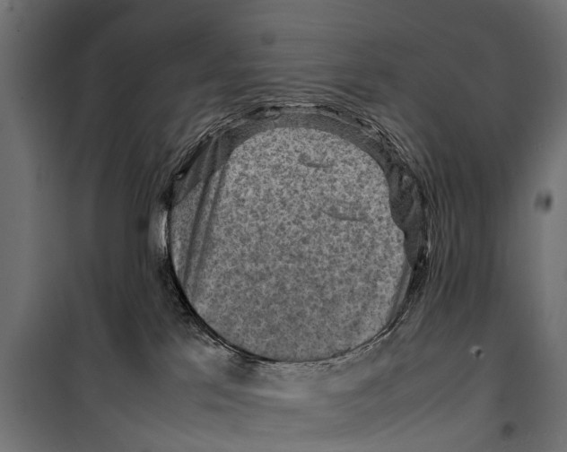 X0000099980041200806201436