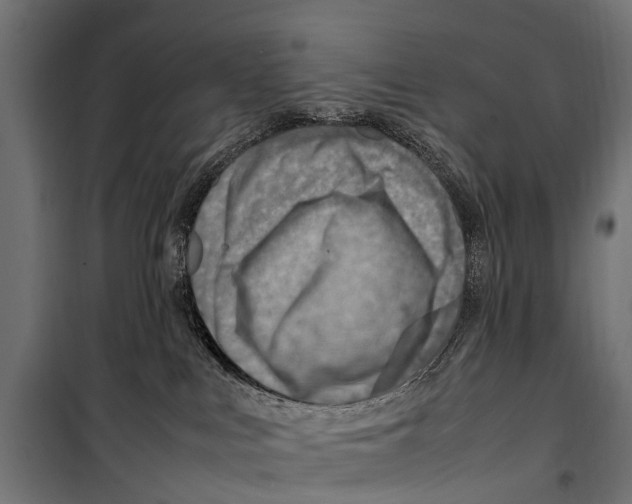 X0000099980043200806201436