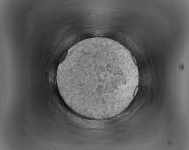 X0000099980044200806201436