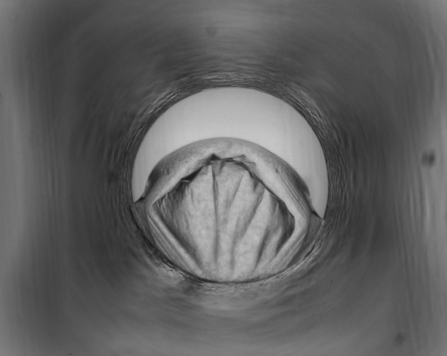 X0000099980045200806201436