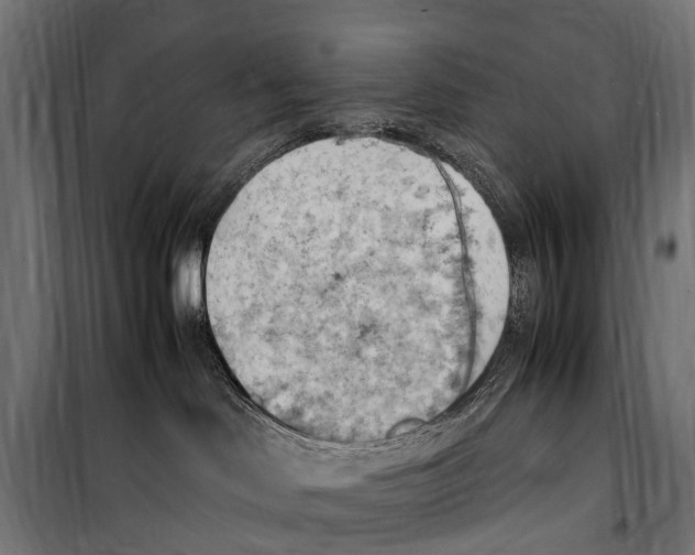 X0000099980046200806201436